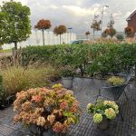 Foto Website Alleengroen.nl 13