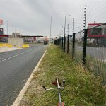 Foto Website Alleengroen.nl 17