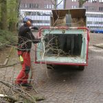 Foto Website Alleengroen.nl 18