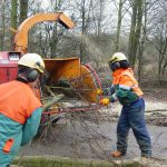 Foto Website Alleengroen.nl 19