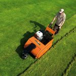 Foto Website Alleengroen.nl 20