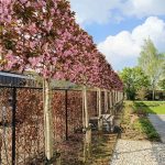 Foto Website Alleengroen.nl 27