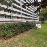 Foto Website Alleengroen.nl 28