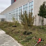 Foto Website Alleengroen.nl 29